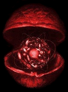 nussuniversum