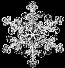 schneeflocke