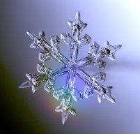 schneeflockeb